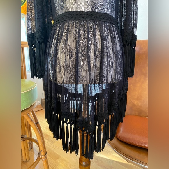 Alice McCall black lace dress, sheer w/ tassels | Victorian, Gothic, Witchy Sz 4 - Picture 11 of 11
